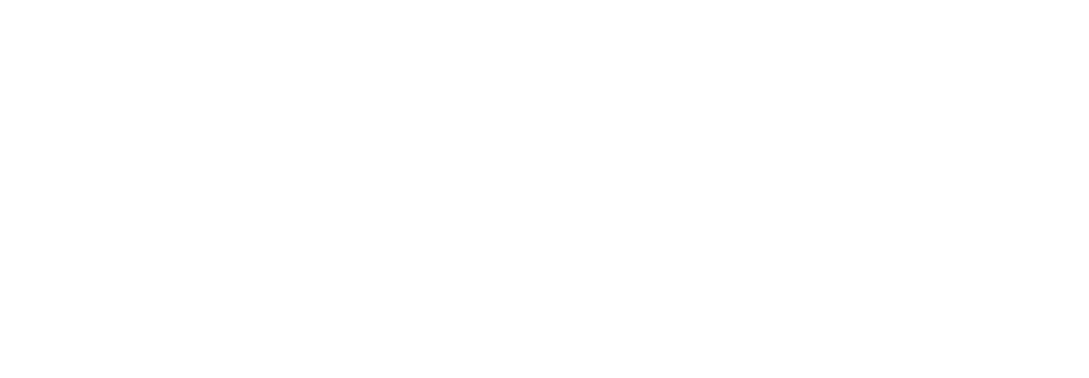 Veteran Employment Supporter
